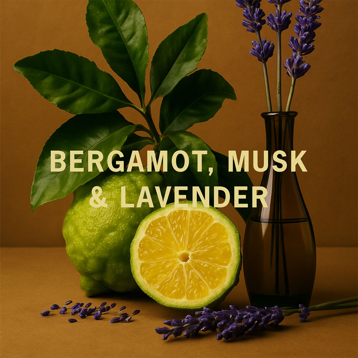 Gentleman Refill 4-Pack